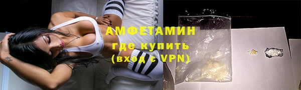 прущие грибы Вяземский